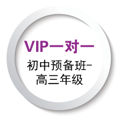 vip1对1图标