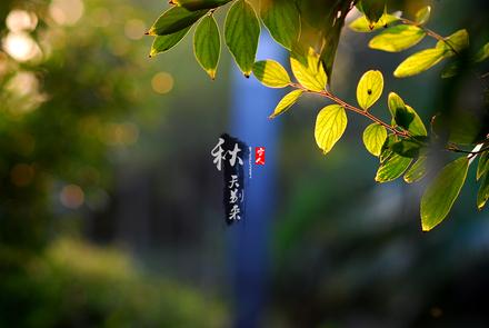 秋天到了 20诗首美如画的古诗词鉴赏
