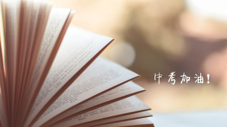 中考语文