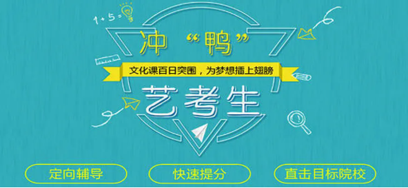 艺考文化冲刺学校