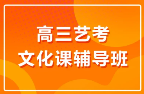 高三艺考文化集训班