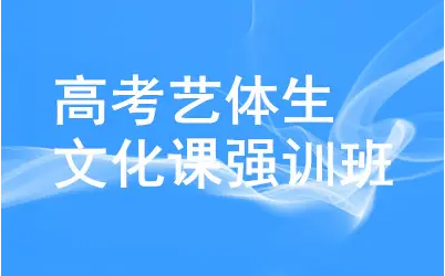 高考艺考文化课培训机构