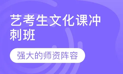 艺考文化课辅导学校
