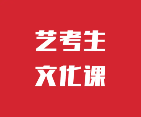 艺考生文化课招生