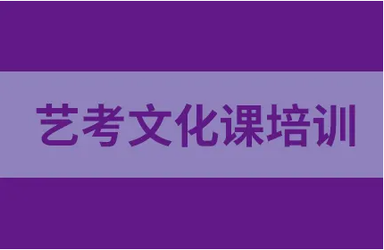高三艺考生文化集训学校